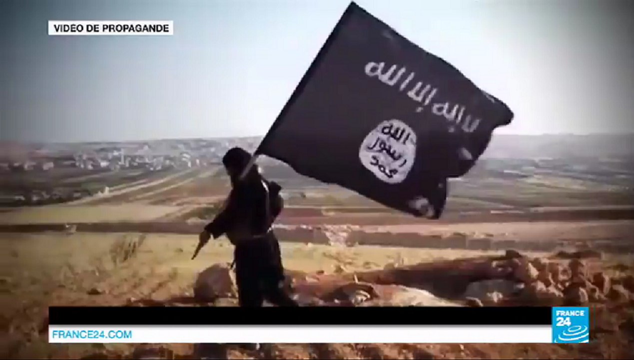 EIIL, EI, Daesh, Organisation de l'Etat Islamique - quelle terminologie pour le groupe islamiste ?