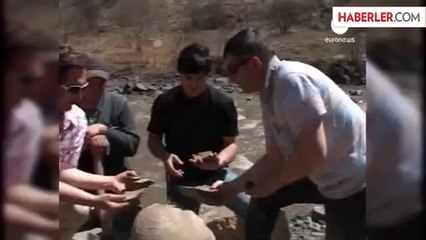 60 milyon yaşında yumurta bulundu