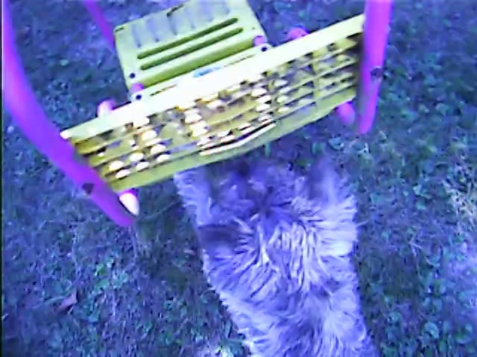 Jaudy dehors en Dordogne