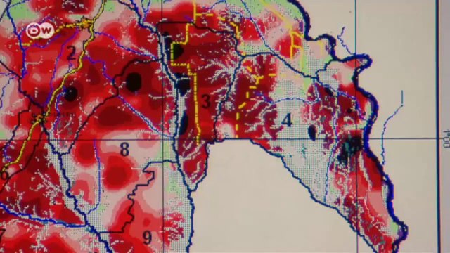 Simios amenazados por la tala de árboles | Visión futuro