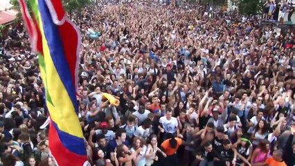 Année France-Vietnam 2014 // La Techno Parade