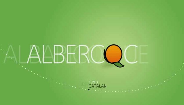 Langue française et langues de France : Mots d'ici, mots d'ailleurs, les mots sont migrateurs