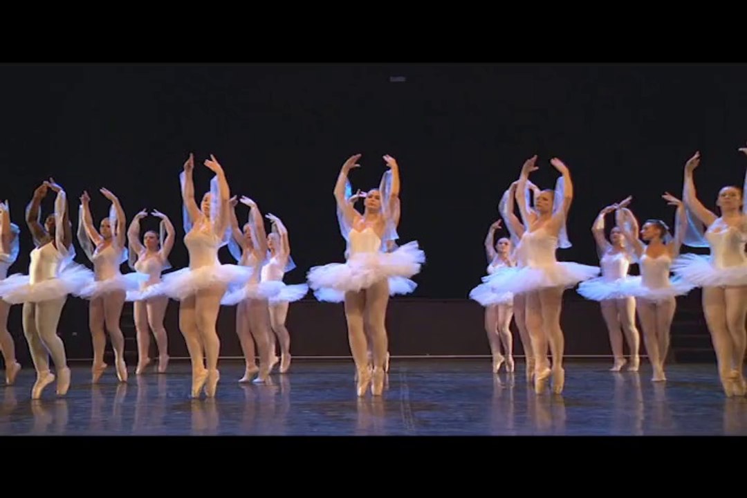 Gala 2014-La Bayadère-Le Royaume des Ombres