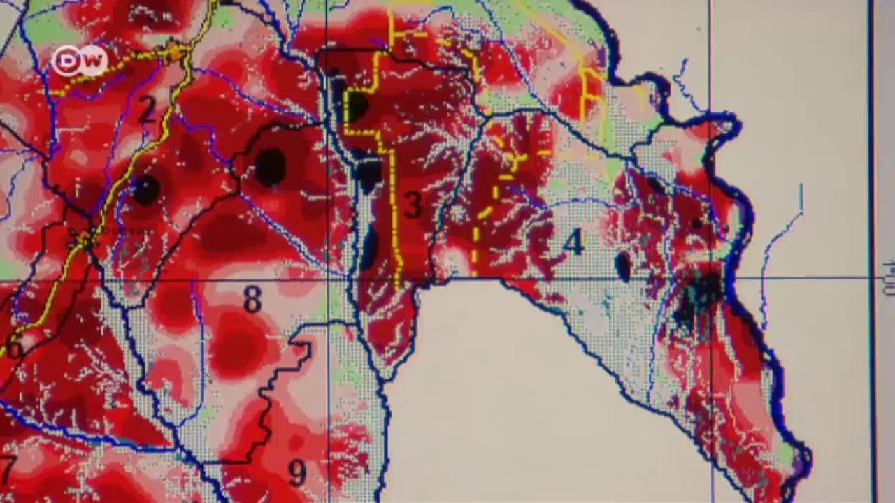 Affen im bewirtschafteten Wald | Projekt Zukunft