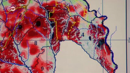 Of Apes and Lumberjacks | Tomorrow Today