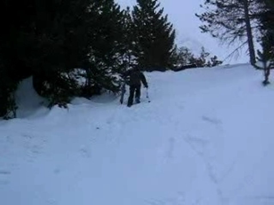 Ski zigo
