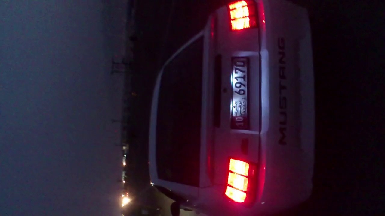 Mustang