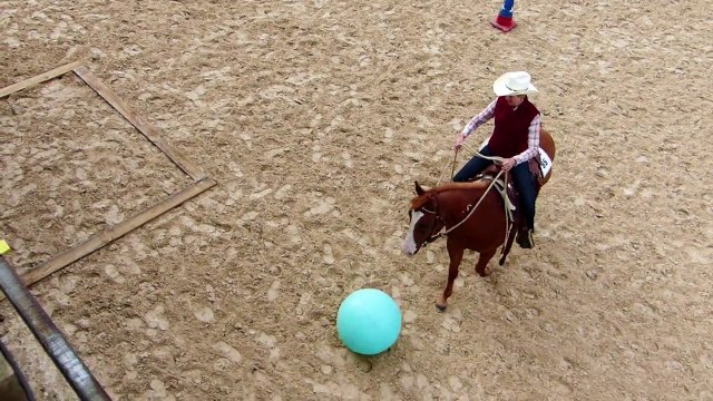 Trail Equiblues 2014