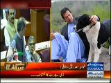 My dog sheru has died , was more faithful & loyal than these rulers :- Imran Khan