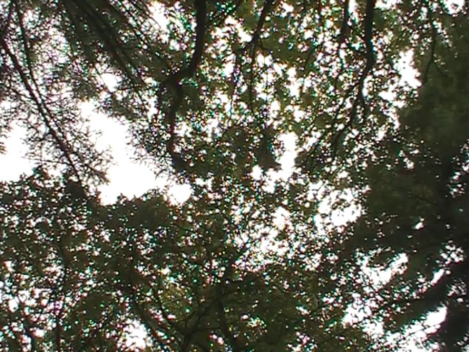 spaziergang