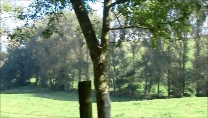 Vallée du Denacre 120914