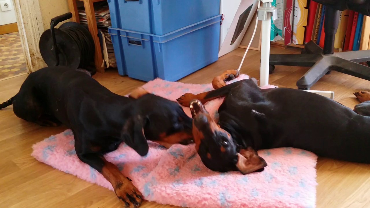moment de tendresse
