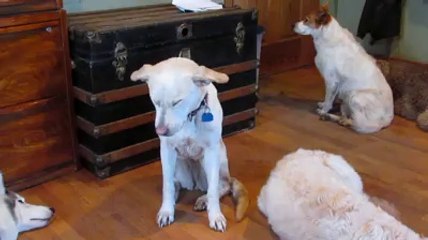 uykum var lan benim rahat bırakın