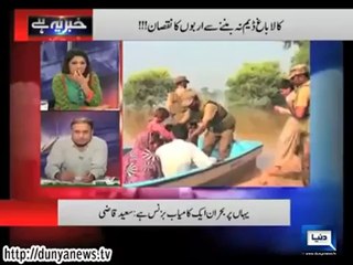 Politicians and Bureaucracy looting Pakistan in the name of Democracy Rauf Kulasra