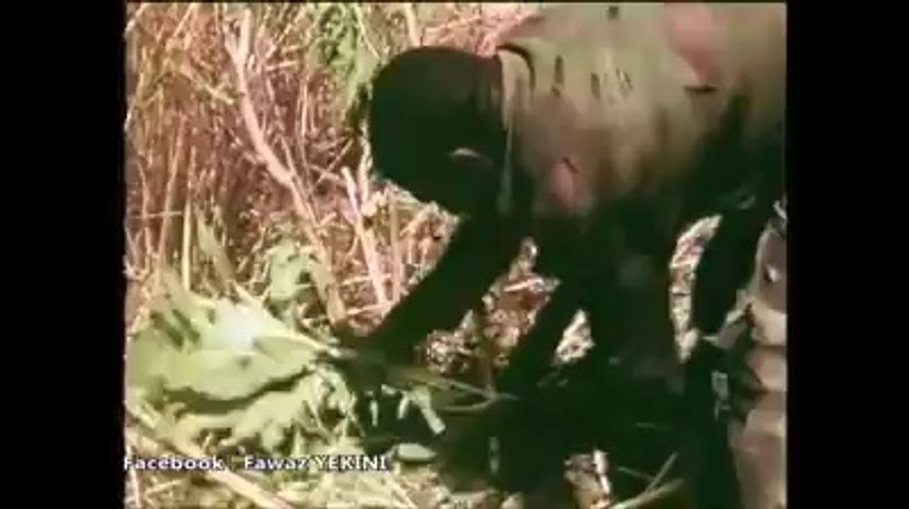 chasseur_python