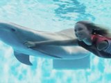 Watch Dolphin Tale 2 Full Movie Streaming Online Free (2014) 1080p HD