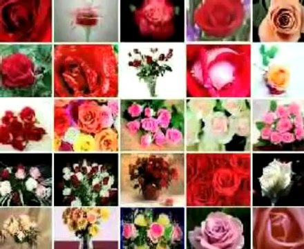 Yusuf Ziya Özkan - Ah Efendim