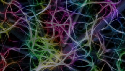 Sacred Pathways: The Brain's Role in Religious and Mystic Experiences by Professor Todd Murphy