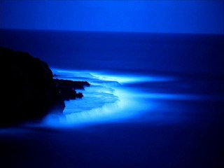 Between The Devil and The Deep Blue Sea-Lou Gold Orchestra