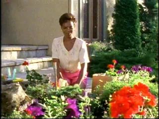 07 - The Tale of the Chameleons