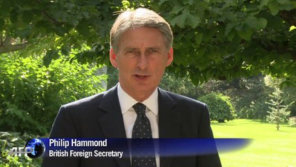British FM at Paris talks: No decision on Iraq airstrikes yet
