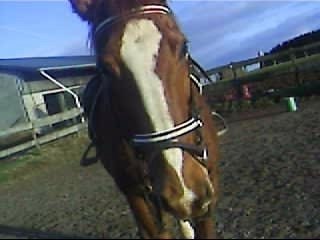 Laddy et moi gamelle