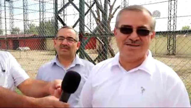 Şahinler özgürlüğe kanat çırptı