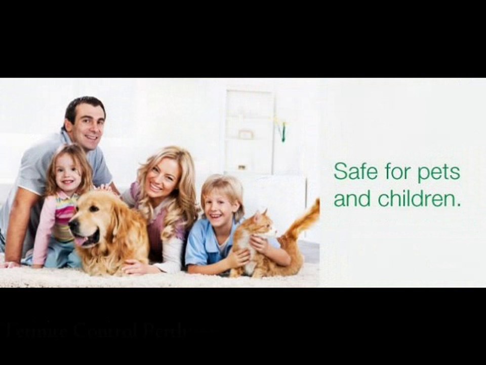 BP Homecare
