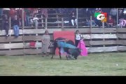 Woman Bull Fighting