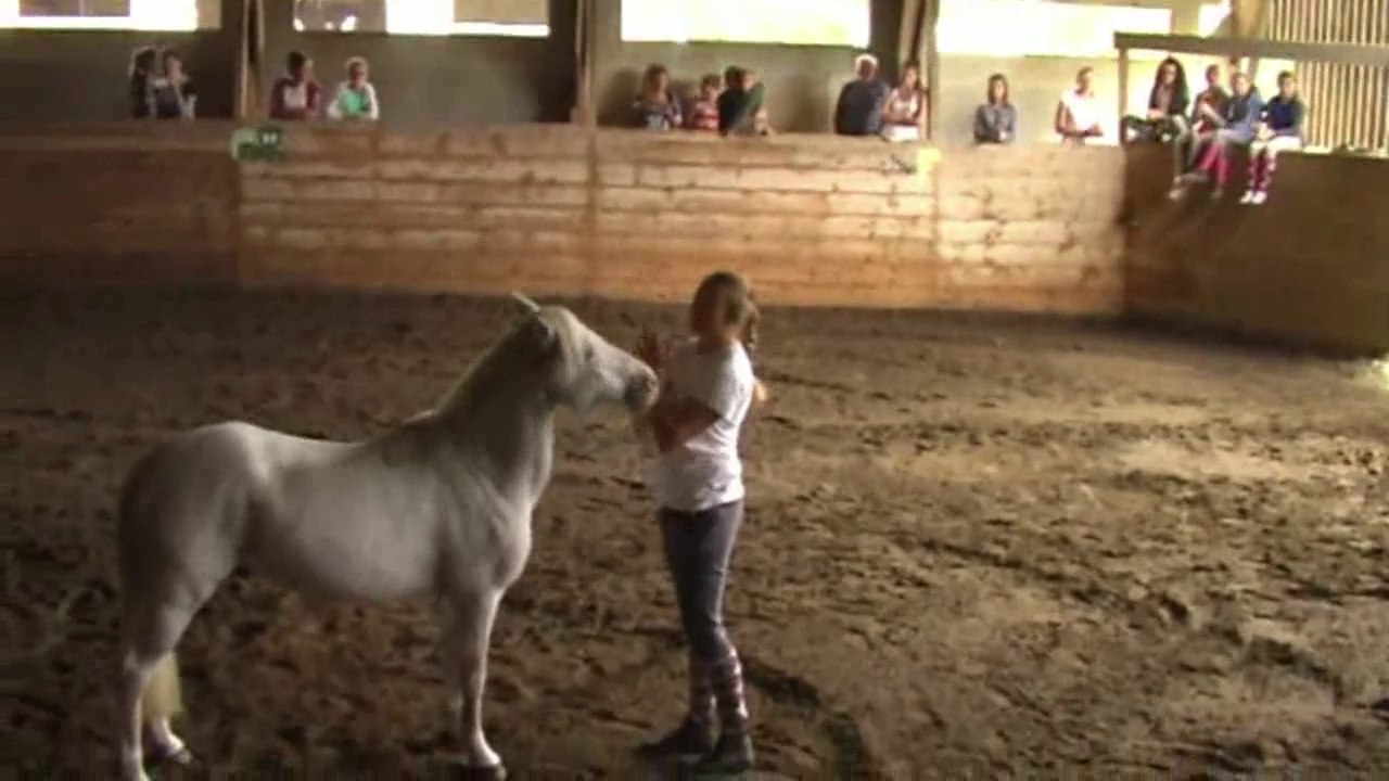 AEQUI22 Elise et Fakir 14 septembre 2014
