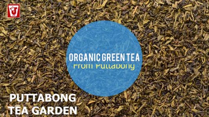 Darjeeling Puttabong Garden | Jayshree Tea