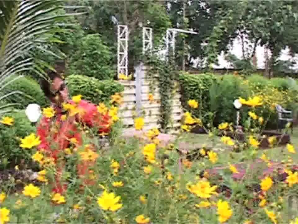 Ek Baar Tujhe Dekha Hai - Video Song - Album: Chori Hua Mera Dil - Singer: Riyaz