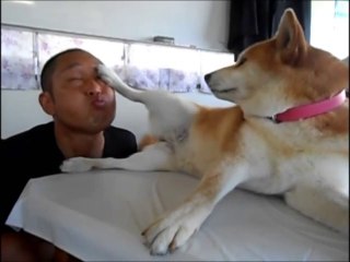 Un chien pas très sympa avec son maître!