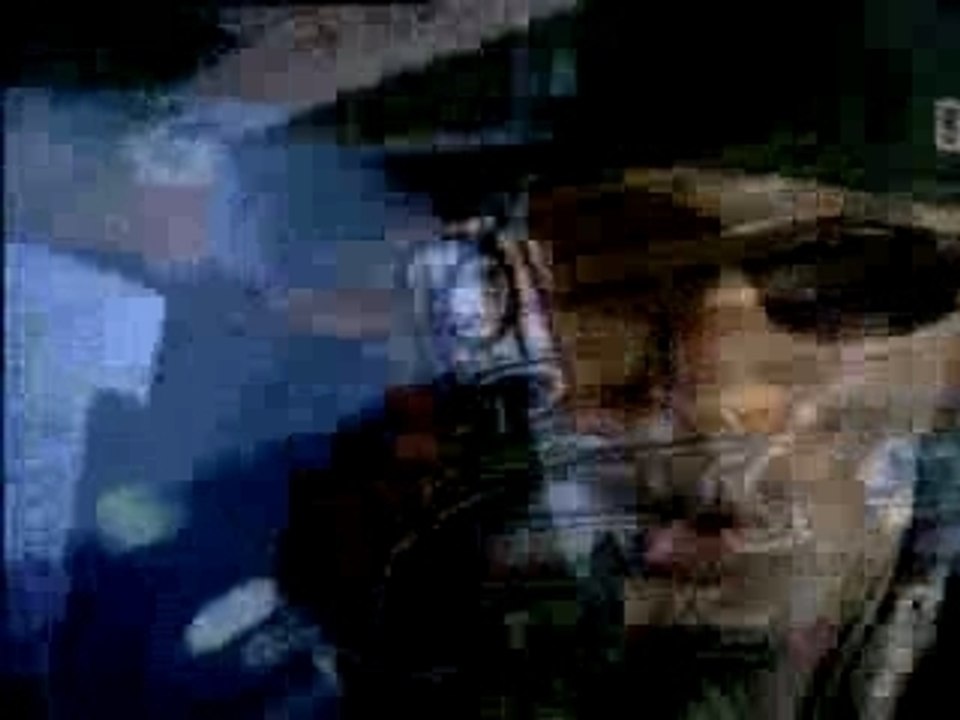 La fouine