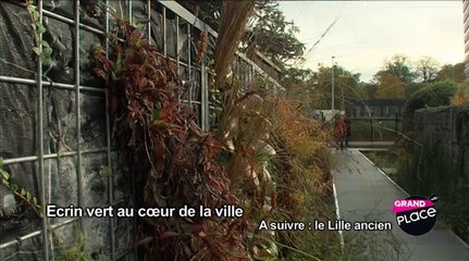 Le jardin des géants, un écrin vert au coeur de la ville