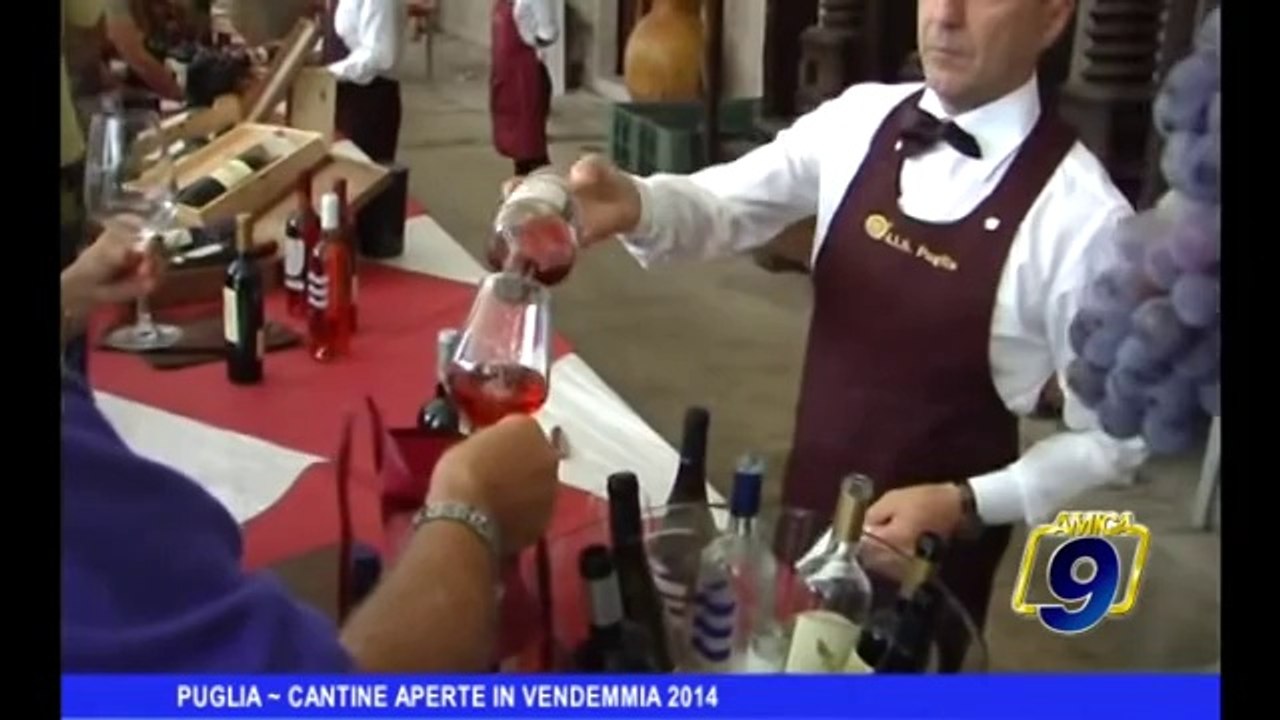 PUGLIA | Cantine aperte in vendemmia 2014