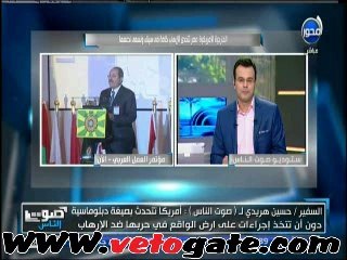 هريدى لـ"كيرى": مصر ستخوض حرب الإرهاب بمفردها