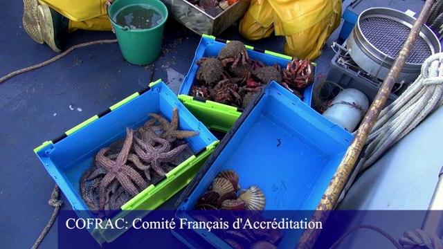 Rôle du laboratoire d’analyse, de surveillance et d’expertise de la Marine (LASEM) notamment à travers ses actions en matière de veille et d'évaluation de l'impact réel des installation nucléaires à Brest et à l'Ile Longue