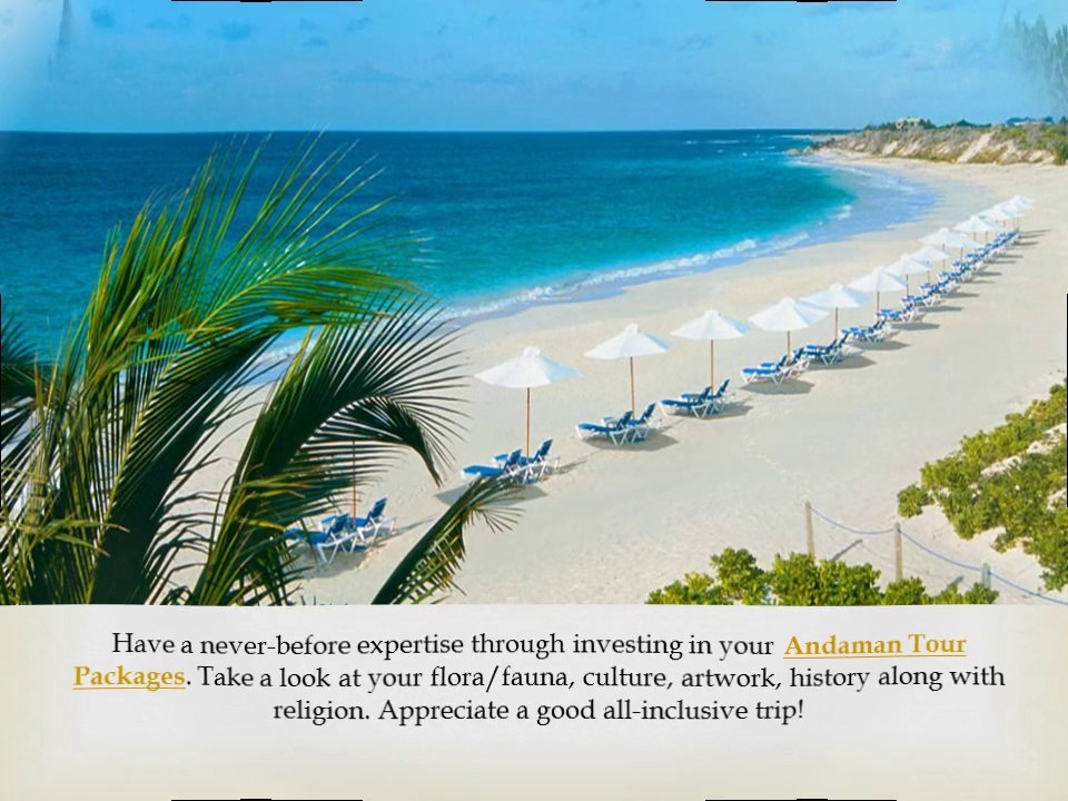 Best Tour & Travel Company in India from Zenith Holidays