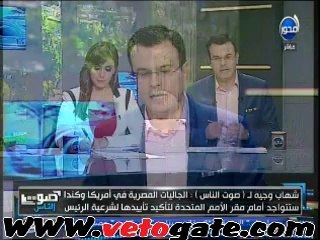 وجيه: تجمعات للجالية المصرية بأمريكا وكندا لدعم شرعية الرئيس