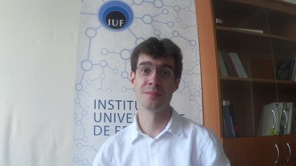 Thomas CONSTANTINESCO, Maître de Conférences, université Paris Diderot