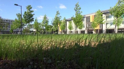 Myco-Tram (Nuit des Chercheurs)