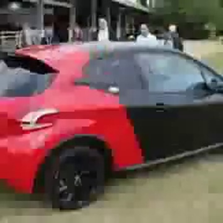 Peugeot GTi 30th Anniversary Edition at Goodwood Festival of Speed