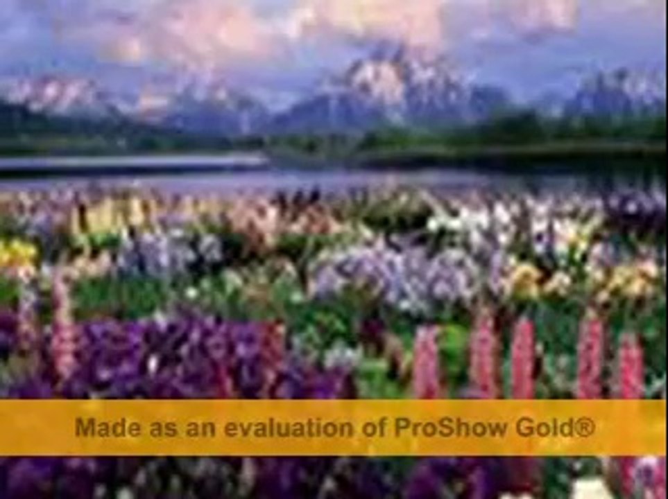 DİYEMEDİM (BİYOGRAFİ) Orhan Börçek (Ozan Yesari)