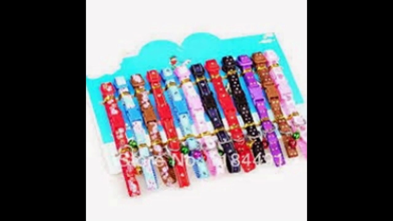 Buy Pet Supplies Online India - Dog & Cat Food Online - Dog Products