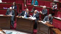 Séance publique 7 juillet Assemblée Nationale, Projet de loi d'Avenir Agricole