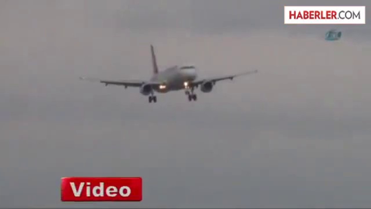 Pilotların Başı Martılarla Dertte