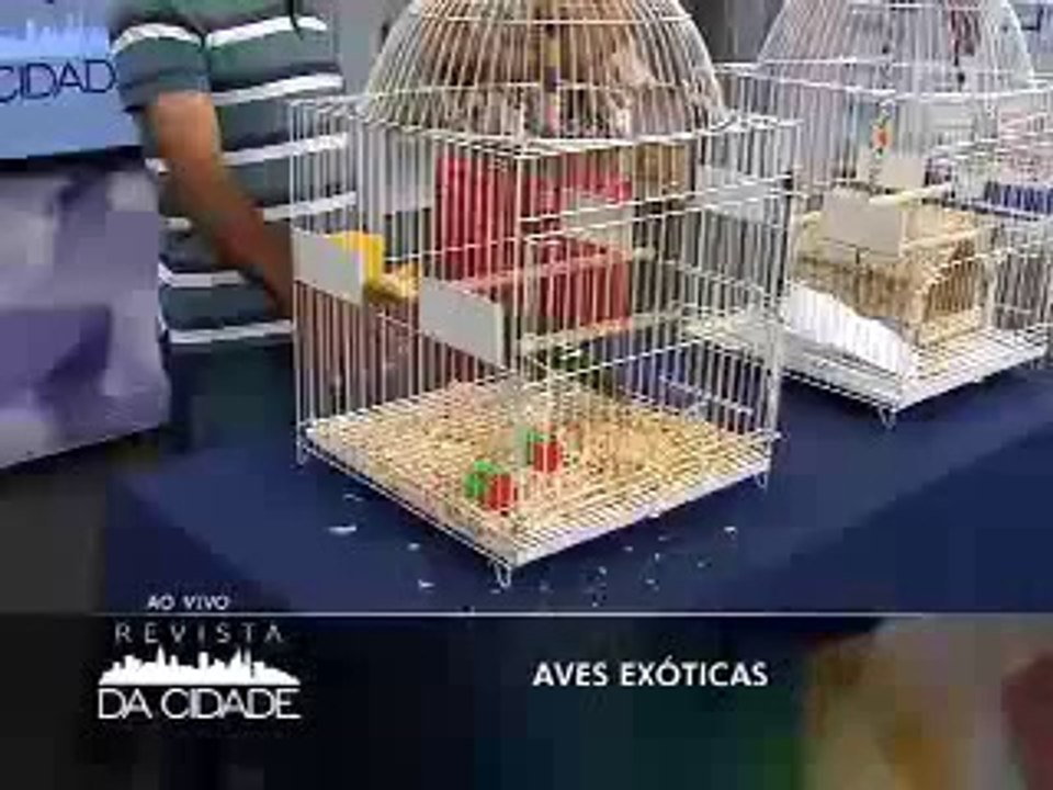 TV Gazeta 2014-09-16 Revista da Cidade Aves (1)