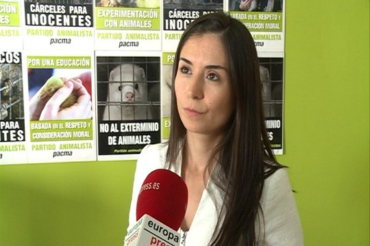 Pacma pide la prohibición del Toro de la Vega