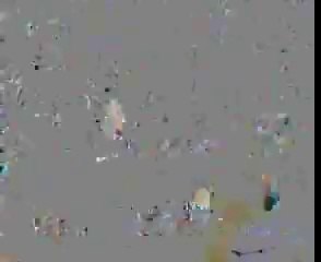 Student Shoukat Raza Shoukat